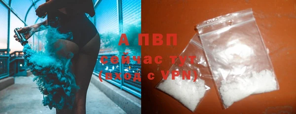 шишки Вяземский