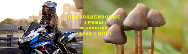 шишки Вяземский