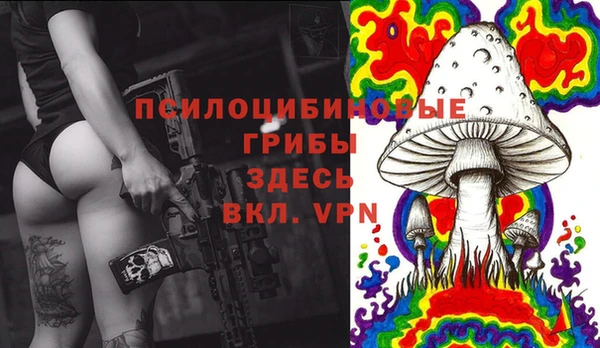 шишки Вяземский