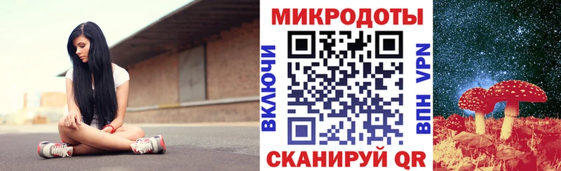 мега ONION  Черемхово  Галлюциногенные грибы Psilocybine cubensis  закладки 